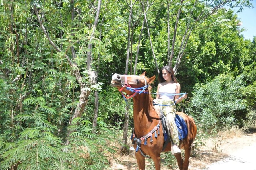 Antalya: Lara Beach & Forrest Horse Riding Safari - What to bring and how to prepare (so it’s comfortable)