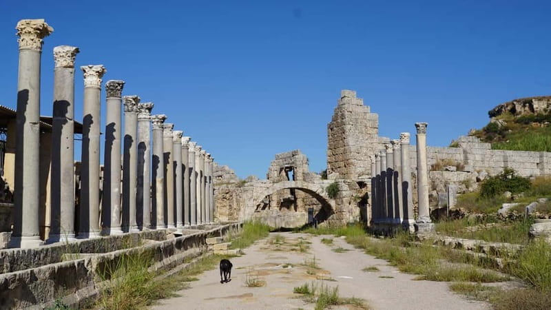 Antalya: Perge Ancient City Tour - Key things I’d budget your attention for