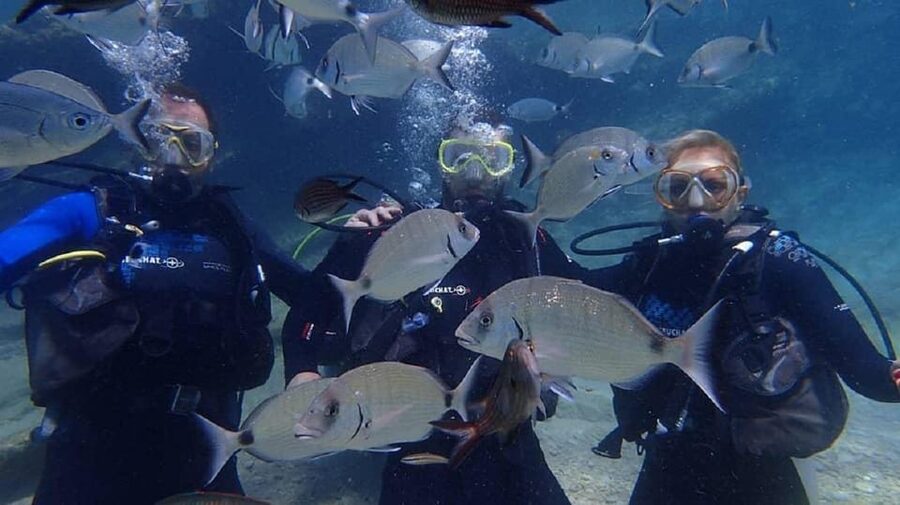 Antalya Scuba Diving Tour, With Lunch & Return Transfers - Getting a Boat Day Memory: Transfers, Time on Water, and Photos