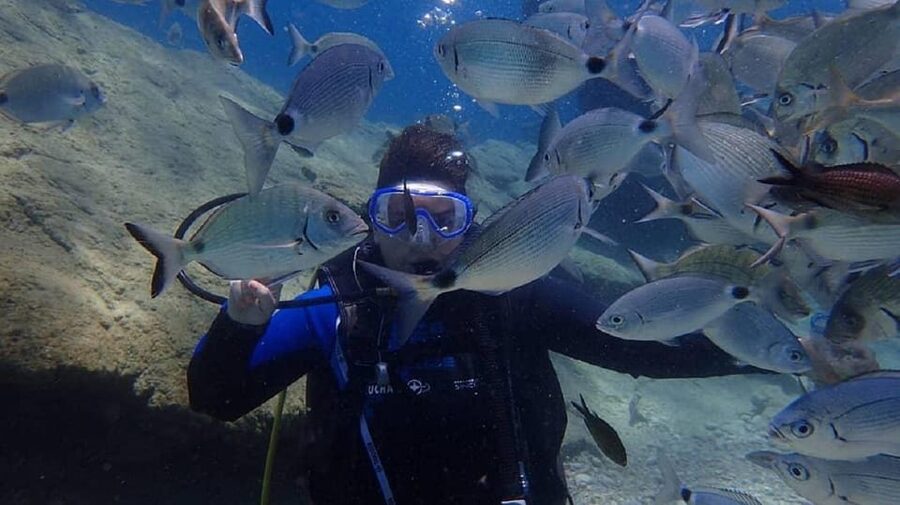 Antalya Scuba Diving Tour, With Lunch & Return Transfers - Lunch, Swimming Break, and the Martı Island Day Rhythm