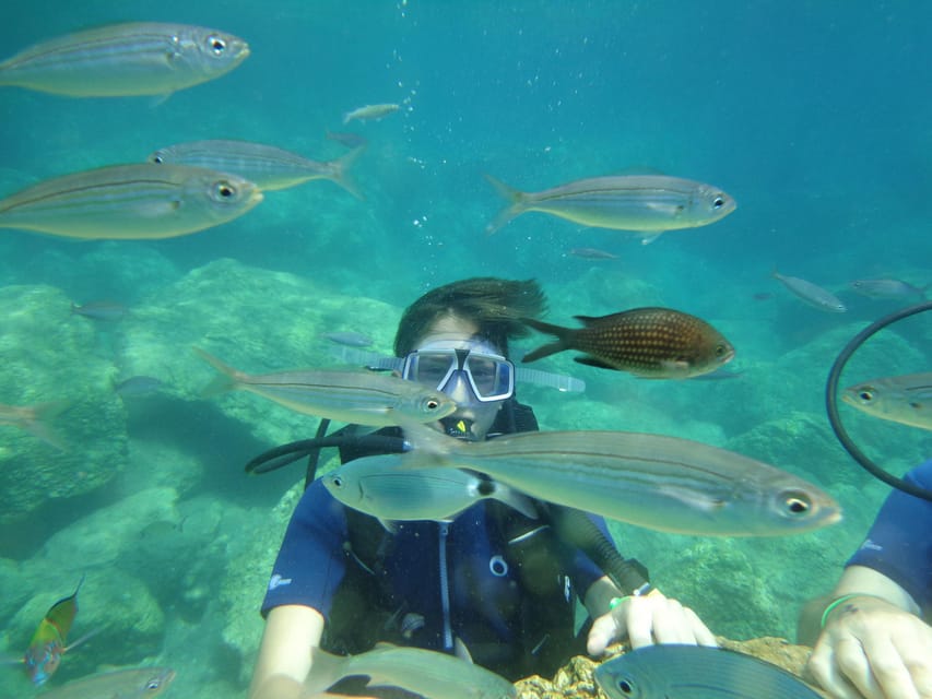 Antalya Scuba Diving Tour, With Lunch & Return Transfers - Second Underwater Session Off Martı Island, Plus the Certificate Moment