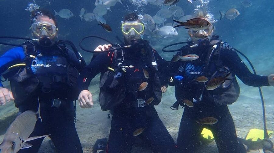 Antalya Scuba Diving Tour, With Lunch & Return Transfers - Price and Value: Why Around $38 Can Work If You Want the Whole Package