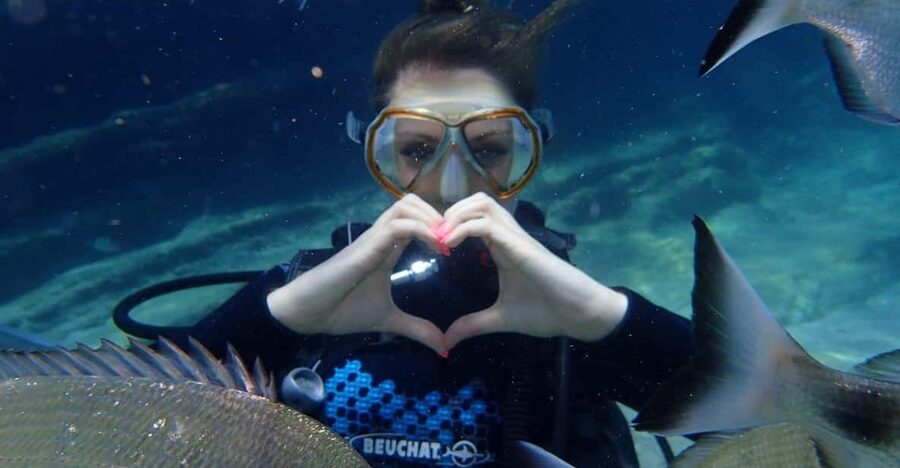 Antalya Scuba Diving Tour, With Lunch & Return Transfers - Hotel Pickup to Setur Marina: The 7 Hour Flow You Should Expect