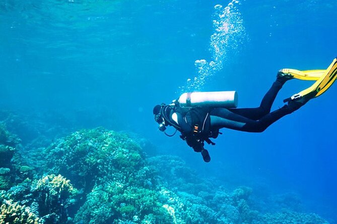 Antalya Scuba Diving With Transfer From Belek,Lara,Kemer Hotels - Getting your gear sorted and learning signals fast