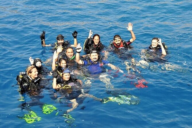 Antalya Scuba Diving With Transfer From Belek,Lara,Kemer Hotels - Second underwater session: a real chance at sea turtles and variety
