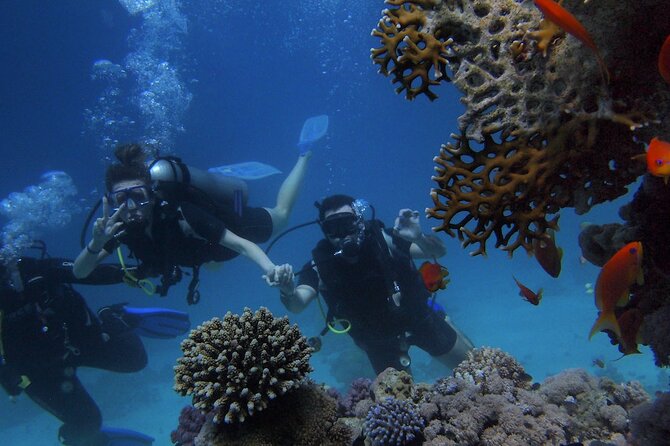 Belek Scuba Diving Experience (2 Dives) With Lunch - Hotel pickup rules that can save you time (and stress)