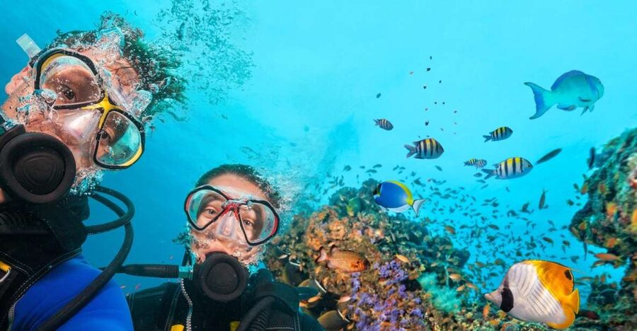 Belek: Scuba Diving in the Mediterranean Sea - Key highlights that make this day work