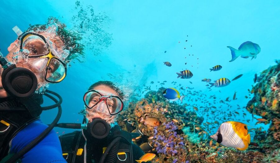 Belek: Scuba Diving in the Mediterranean Sea - The real schedule: pickup, harbor drive, boat rides, and two underwater sessions