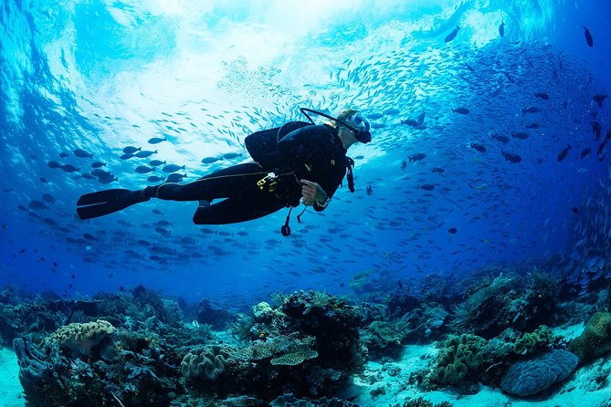 Diving in the Mediterranean sea - Where You’ll Go Underwater: Coral, Fish, and Why Expectations Need Calibration