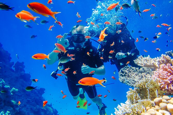 Exciteful Scuba Diving Experience in Antalya - What You Really Get for the Money