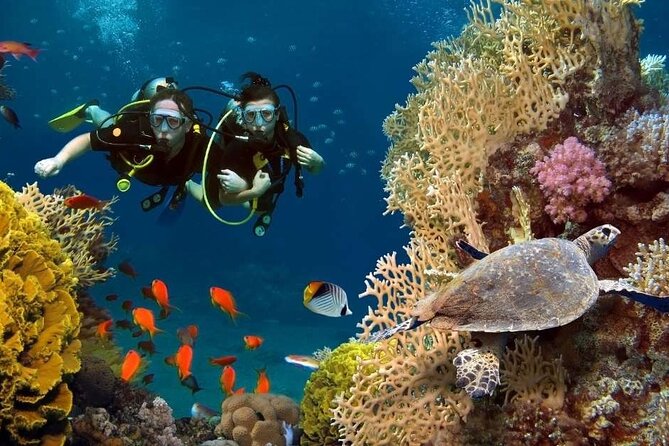 Exciteful Scuba Diving Experience in Antalya - Antalya’s Mediterranean Water, With an Instructor Lead-In
