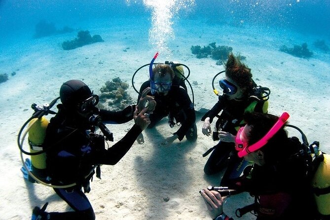 Exciteful Scuba Diving Experience in Antalya - Your Two Underwater Sessions Near Konyaaltı