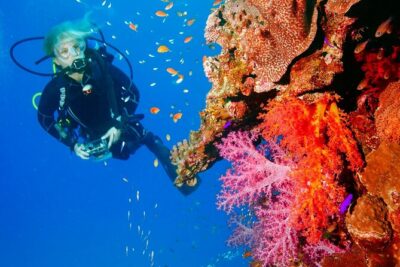 Exciteful Scuba Diving Experience in Antalya