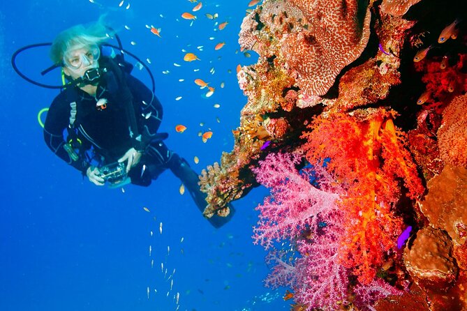 Exciteful Scuba Diving Experience in Antalya - What “Beginner-Friendly” Means in Real Life