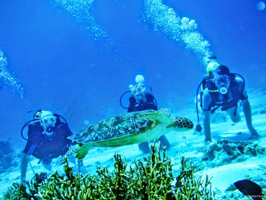From Antalya| Kemer: Diving Tour with Experienced Instructor - Underwater session one, and how shipwrecks and reefs line up with your visibility
