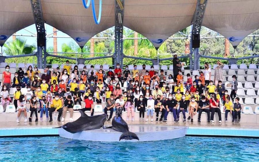 From Belek: Dolphin Show with Transfers - Should You Book This Belek Dolphin Show With Transfers?