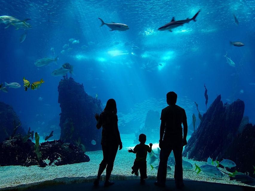 From city of Side: Antalya Aquarium Full-Day Trip - The transfer day from your Side hotel, and why timing matters