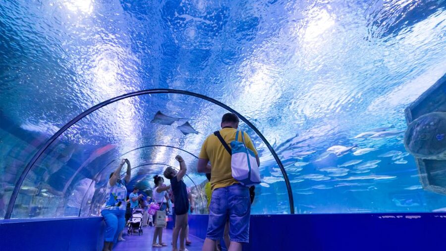 From city of Side: Antalya Aquarium Full-Day Trip - The aquarium plus possible add-ons: Ice World and reptile tickets