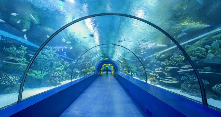 From city of Side: Antalya Aquarium Full-Day Trip - Price and value: is $77 per person worth it?
