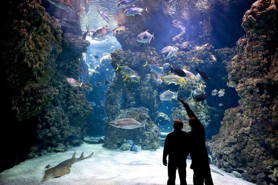From city of Side: Antalya Aquarium Full-Day Trip - Guides and language support, including Ibrahim in one experience