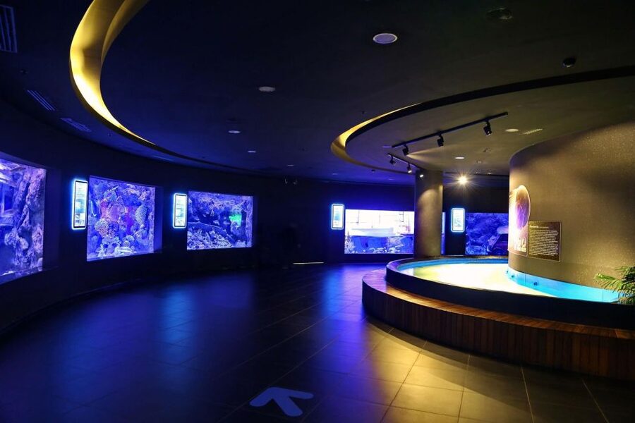 From city of Side: Antalya Aquarium Full-Day Trip - Antalya Aquarium inside, from snow-world cold to soundscape tunnels
