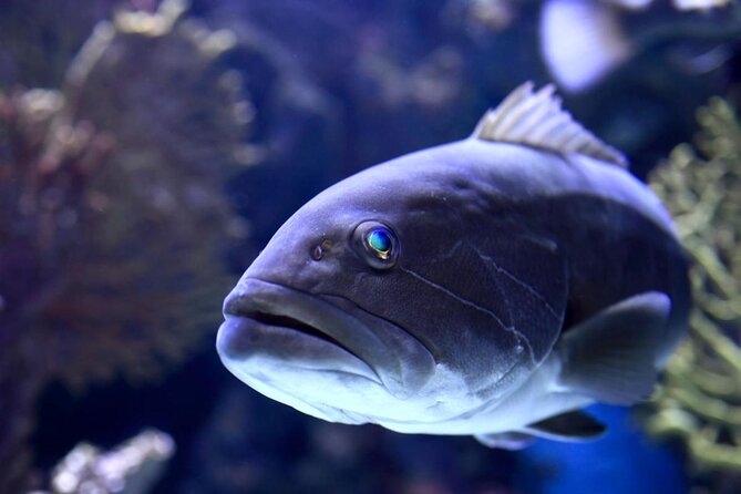 Half Day Antalya Aquarium Tour And Wax Museum - Key Points at a Glance