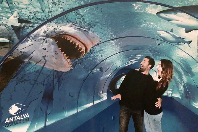 Half Day Antalya Aquarium Tour And Wax Museum - Hotel Pickup and the Smooth-Check-In Feel