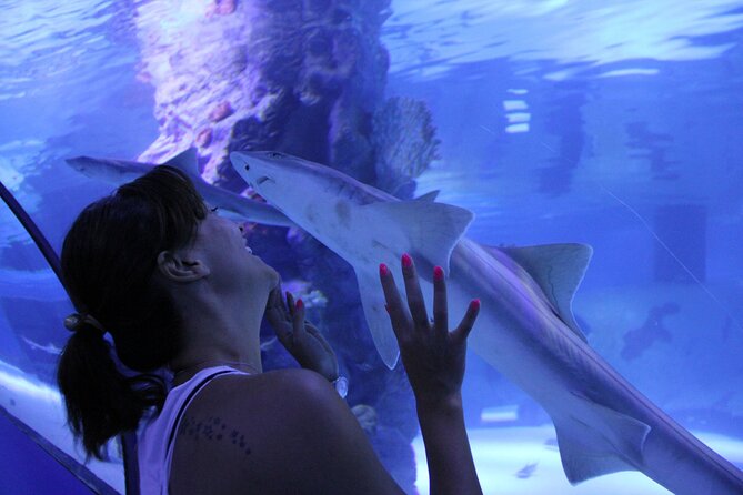 Half Day Antalya Aquarium Tour And Wax Museum - Face2Face Wax Museum: Lifesize Celebrities, Fast and Photo-Ready