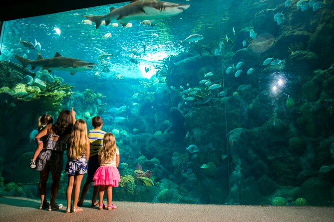 Half Day Antalya Aquarium Tour And Wax Museum - Small Group Limits and the “Get There, Be Back” Promise