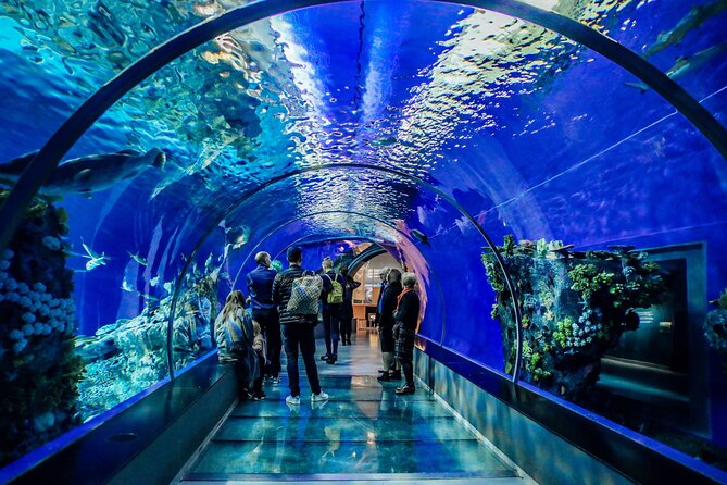 Half Day Antalya Aquarium Tour And Wax Museum - How the Stops Fit Together (and Where to Watch the Clock)