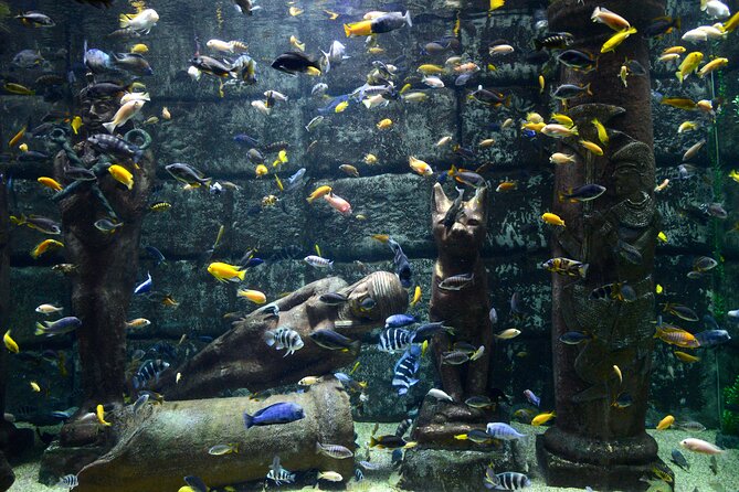 Half Day Antalya Aquarium Tour And Wax Museum - Who This Tour Is Best For