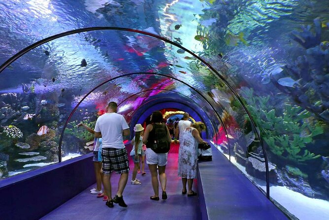 Half Day Antalya Aquarium Tour And Wax Museum - Antalya Aquarium: Make the Long Tunnel Tank Your Anchor