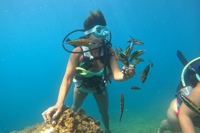Half Day Scuba Diving @ Duden Waterfalls - Gear, Safety, and Your Instructor-Led Underwater Session
