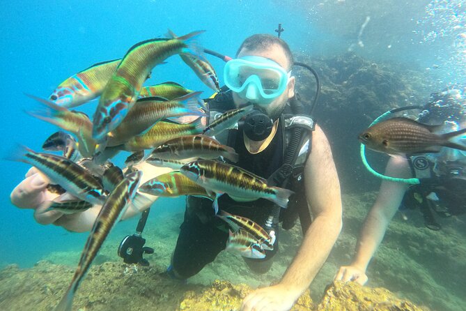Half Day Scuba Diving @ Duden Waterfalls - What to Expect Underwater: Learning Time vs. Marine-Life Safari