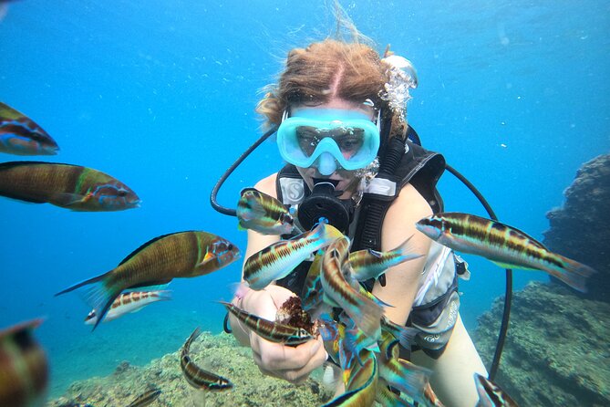 Half Day Scuba Diving @ Duden Waterfalls - Who This Trip Works Best For in Antalya