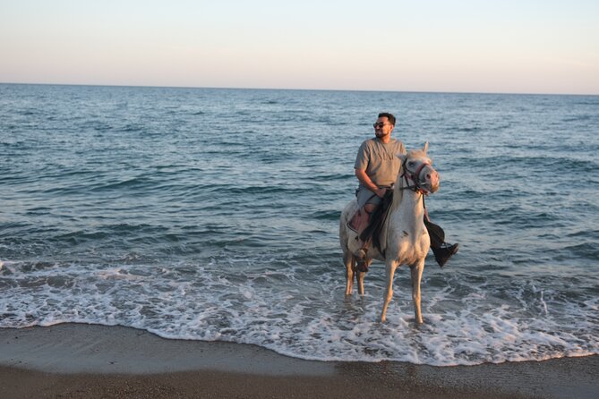 Horse back Riding in Antalya - Private-feel with small-group reality: what you should expect