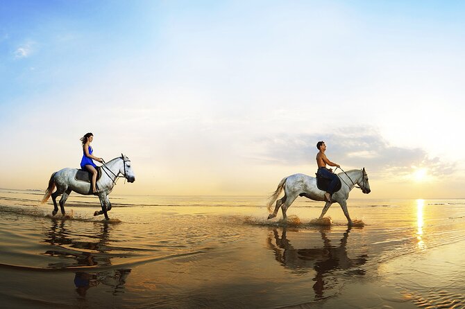 Horse Riding in Antalya,Belek,Lara Beach(Sunrise,Sunset,Day Time) - Photos and Videos: Enjoy Them, But Don’t Let Them Run Your Ride