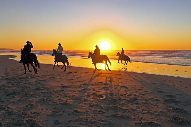 Horse Riding in Antalya,Belek,Lara Beach(Sunrise,Sunset,Day Time) - Who This Horse Ride Is Best For