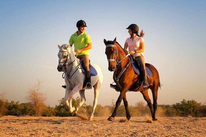 Horse Riding in Antalya,Belek,Lara Beach(Sunrise,Sunset,Day Time) - The Horses, the Handling, and Your Safety Checklist