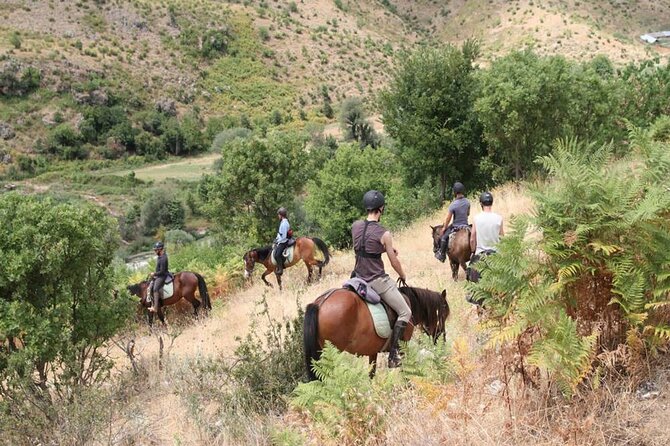 Kemer Horse Safari Experience With Free Hotel Transfer - Kemer pickup and the short transfer that sets the tone