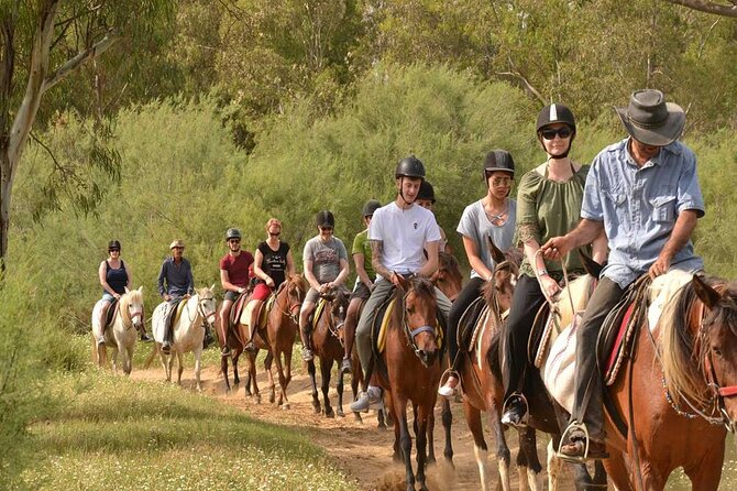 Kemer Horse Safari Experience With Free Hotel Transfer - Safety gear, shoes, and comfort upgrades you can do now