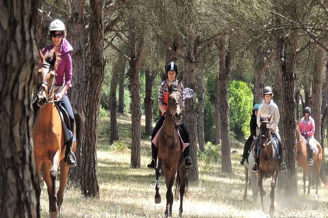 Kemer Horse Safari Experience With Free Hotel Transfer - Photo rules, framed add-ons, and how to avoid the awkward surprise