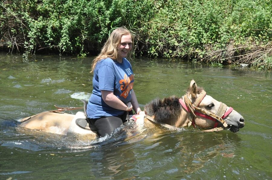 Kemer Horse Safari, pick up from Kiris, Beldibi, Goynuk - The 1-Hour Ride: instruction, steering, and realistic expectations