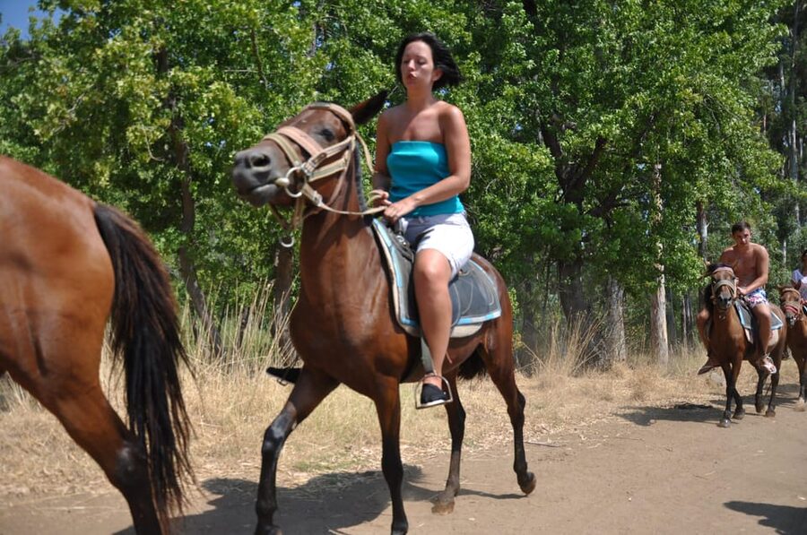 Kemer Horse Safari, pick up from Kiris, Beldibi, Goynuk - Safety, Insurance, and Who This Tour Fits Best