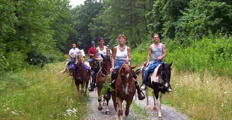 Kemer Horse Safari, pick up from Kiris, Beldibi, Goynuk - Cost and Value: is $47 a fair deal?