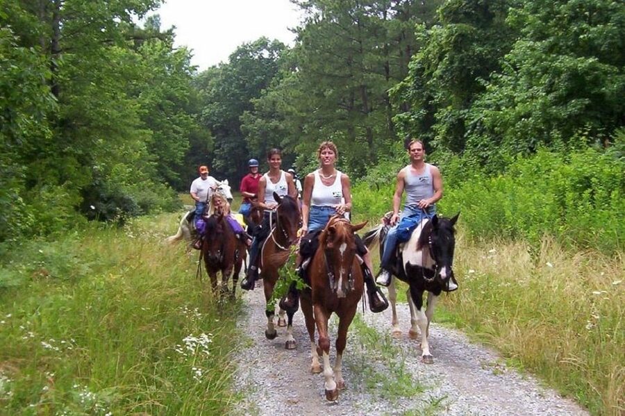 Kemer Horse Safari, pick up from Kiris, Beldibi, Goynuk - Choosing the Right Time Slot (and handling weather)