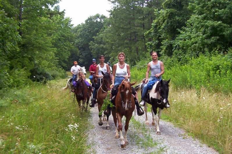 Kemer Horse Safari, pick up from Kiris, Beldibi, Goynuk - Hotel Pickup and Drop-Off: the Kiris to Goynuk Advantage