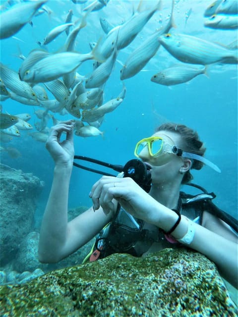 Kemer: Scuba Diving Experience in Aquarium and Kiris Bays - Key Highlights You Will Care About