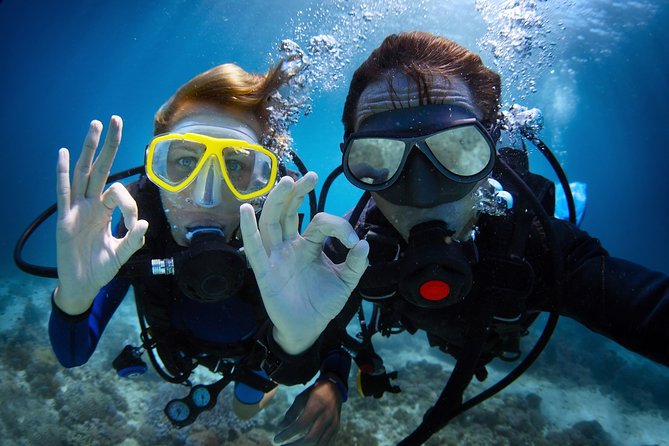 Kemer Scuba Diving Tour Incl. Lunch with Opt. Hotel Transfer - Key things that make this Kemer trip worth a look