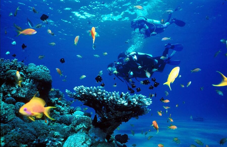 Kemer Scuba Diving with Expert Diving Option - What to Bring (and What to Skip)